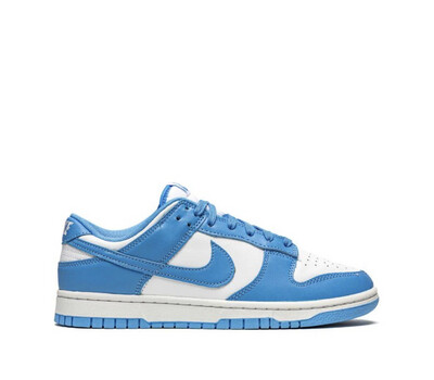 Nike Coast Blue Low SB